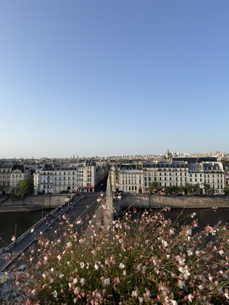 Paris rooftops, bridges and the river seen from a terrace above the city