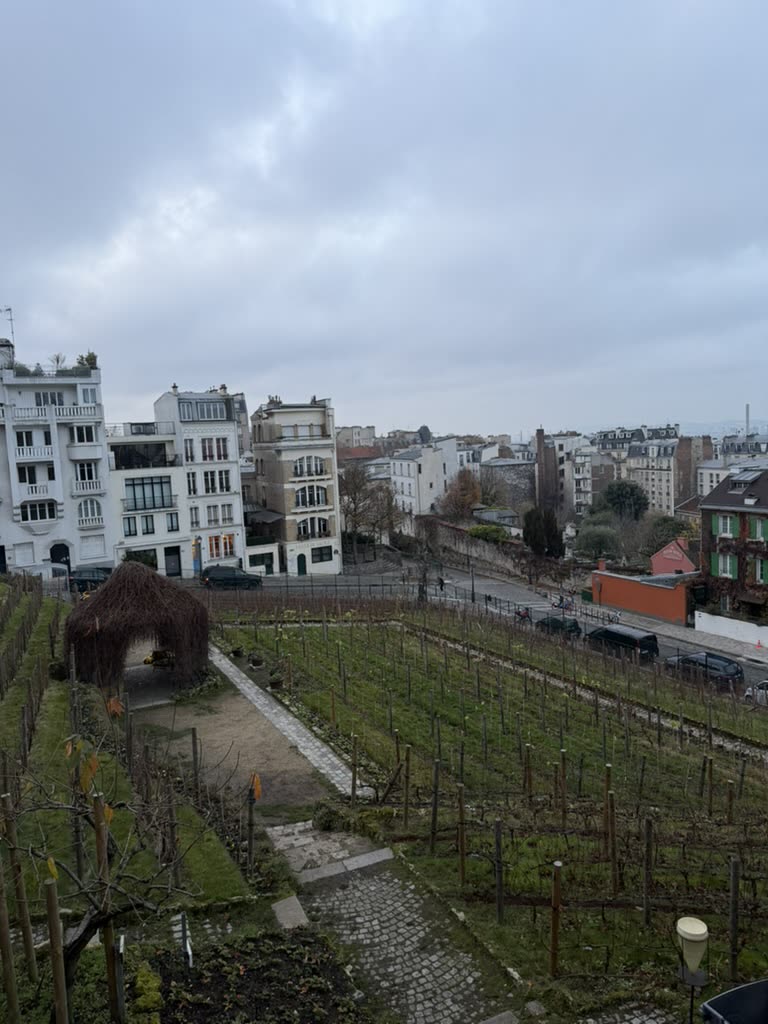 The Clos Montmartre vineyard on the slope below Sacré-Cœur