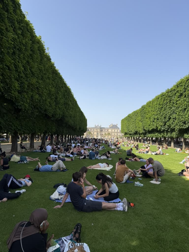The lawns at the Jardin du Luxembourg full of people lying out in the sun, clipped trees on both sides and the palace at the end