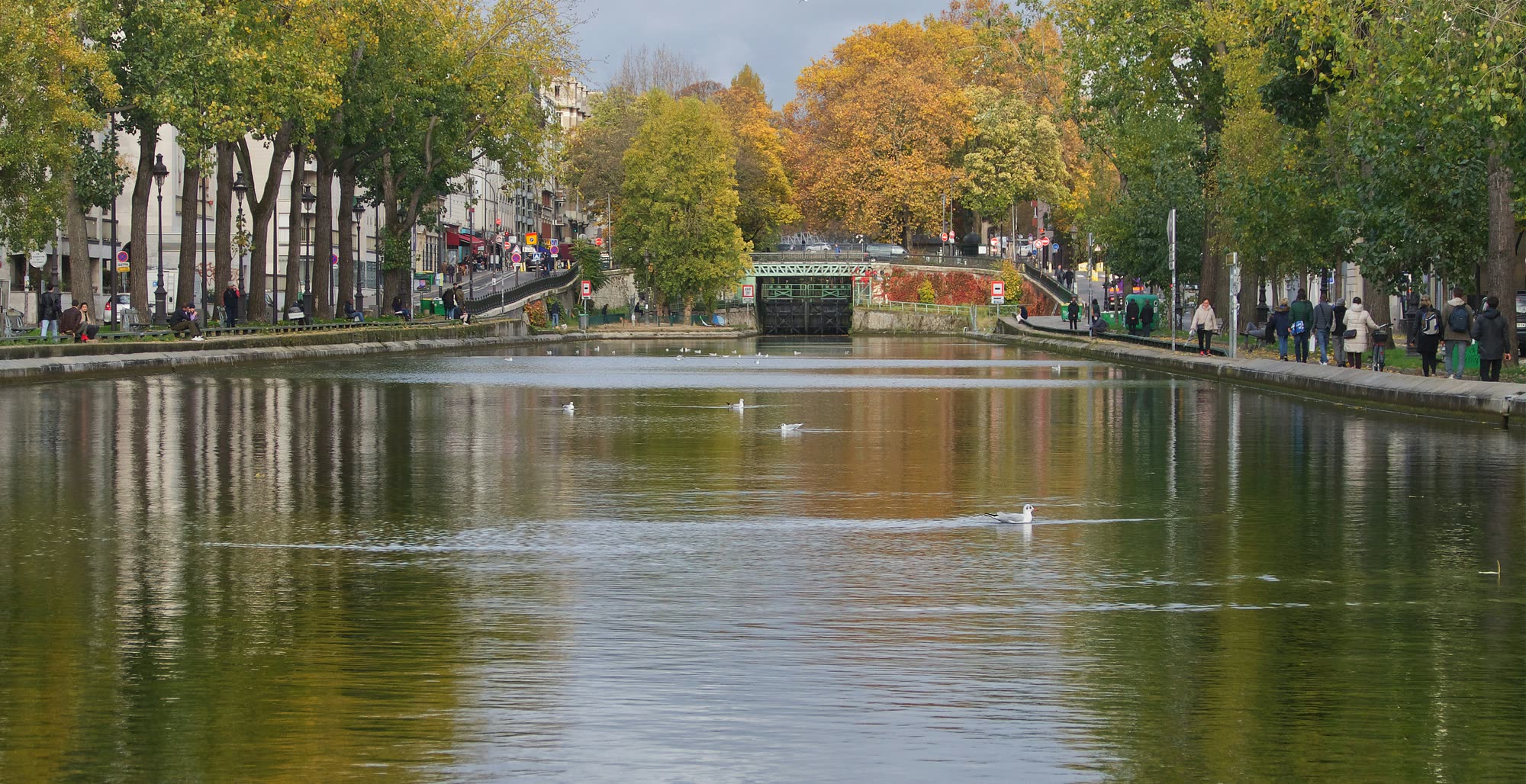 The Canal Saint-Martin in autumn, plane trees turning gold on both banks and gulls on the water